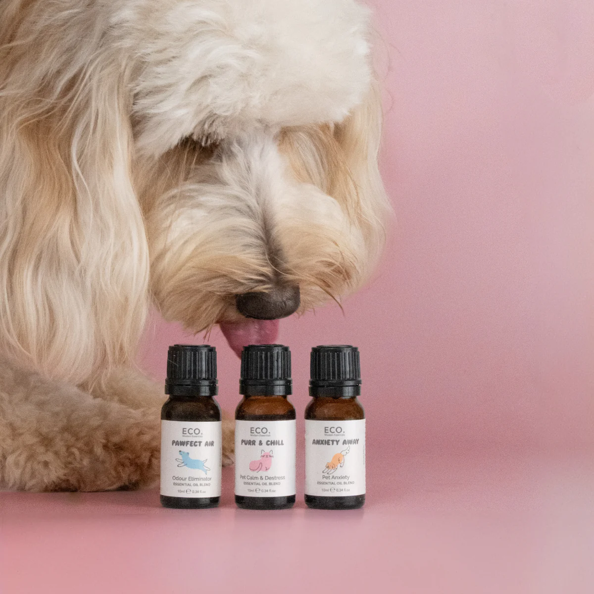 Dog Safe Essential Oil Blend - Purr & Chill for Calm & Destress