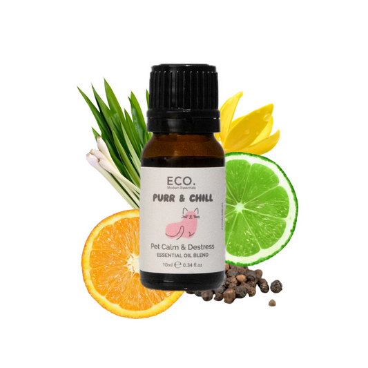 Dog Safe Essential Oil Blend - Purr & Chill for Calm & Destress