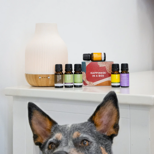 Pet Friendly Essential Oils - 6 pack collection